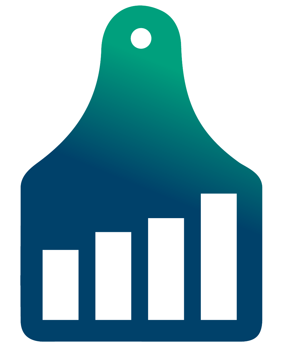 Logo insights